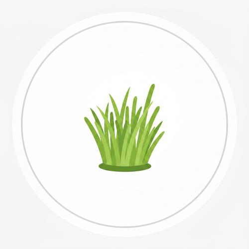 Barley Grass