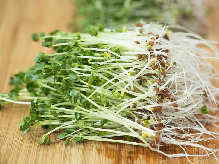 Broccoli Sprout