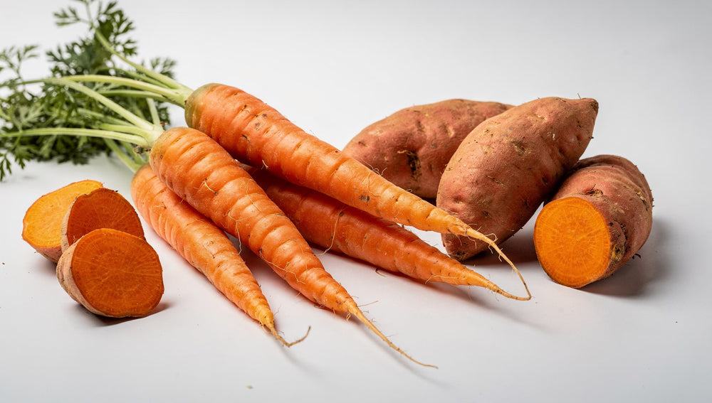 Longevity Road health and wellness supplement – premium quality ingredients for longevity