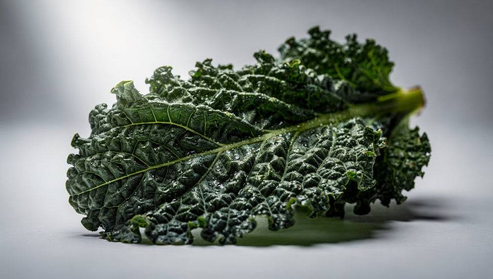 Longevity Road health and wellness supplement – premium quality ingredients for longevity